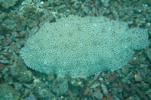 Light-house-nov-22-22