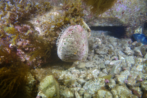 DSC06805
