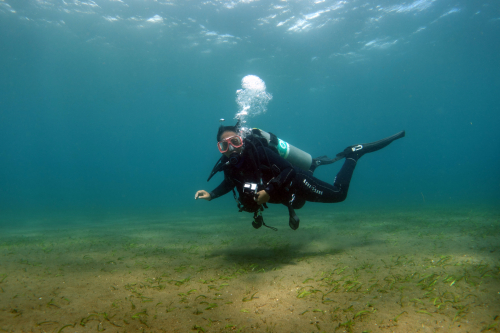 El-Dorado-nov-28-73-copy