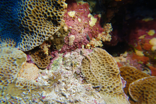 DSC07688