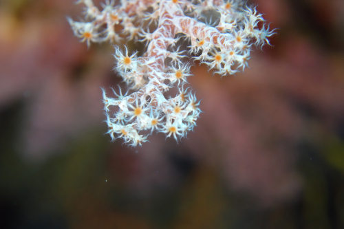 Natur-23