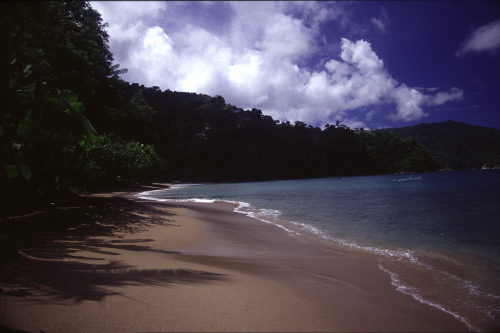 Man-O-War-Bay-2