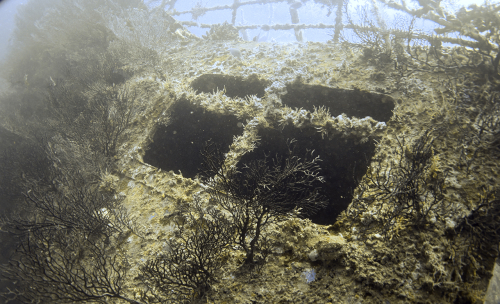 Wreck-19-July-2017-13